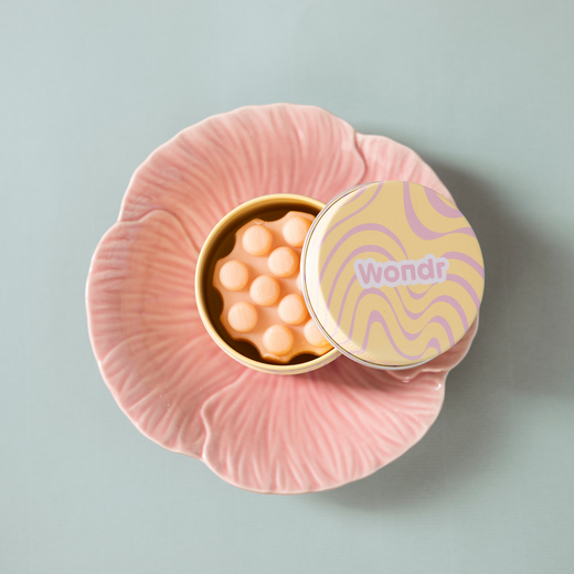 MINI WONDR STORAGE AND TRAVEL BOX