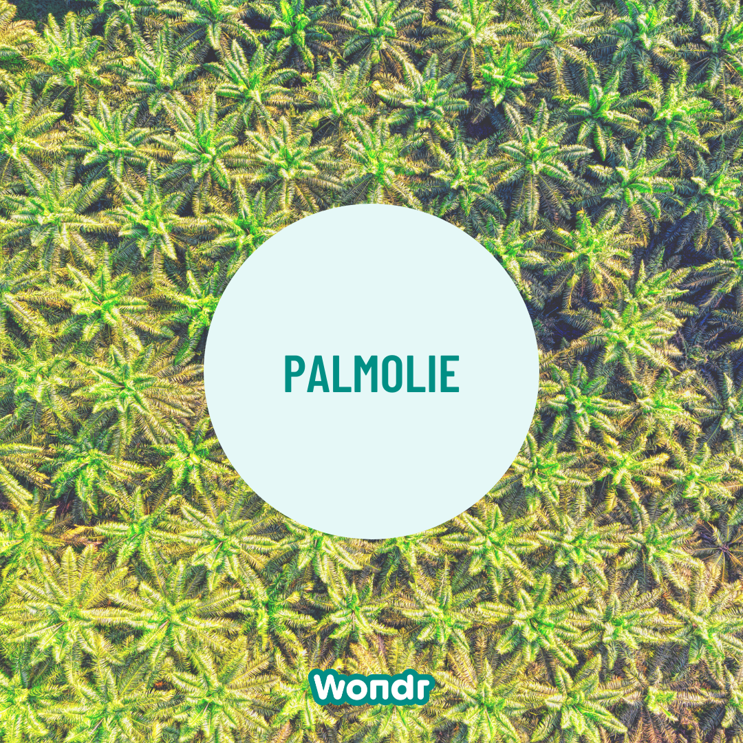Palmolie: the good, the bad and the ugly