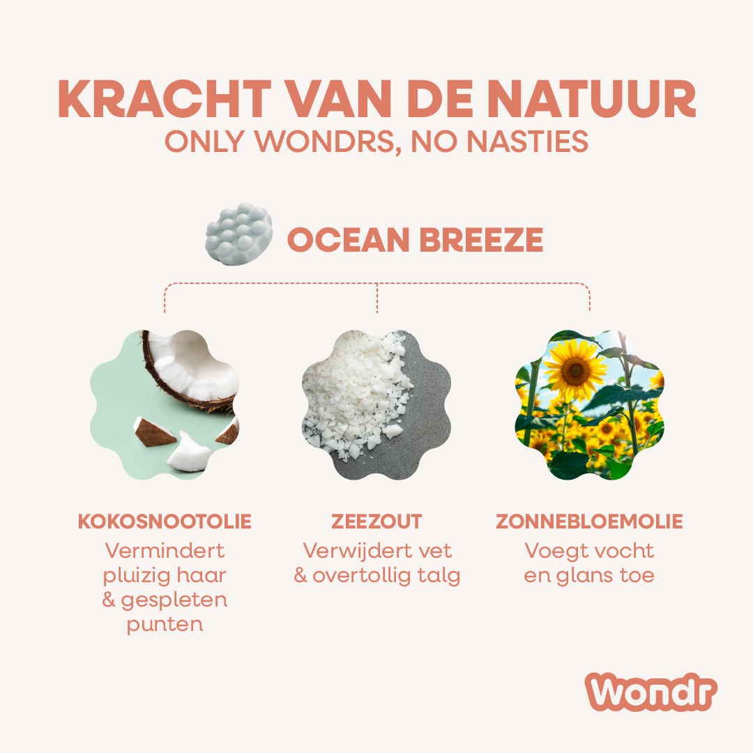 OCEAN BREEZE | XL Shampoo Bar