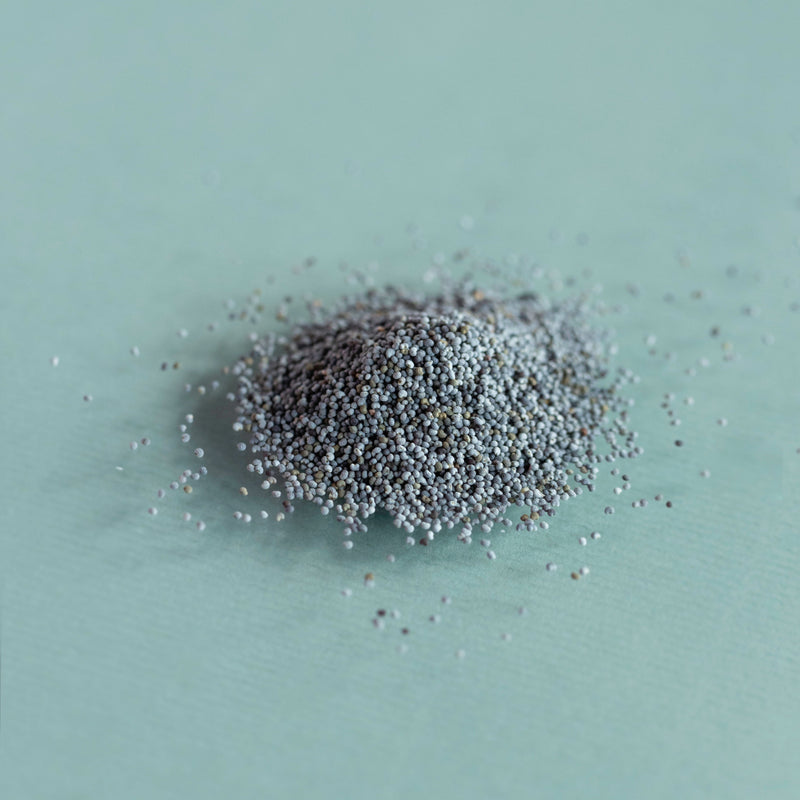 Poppy seed