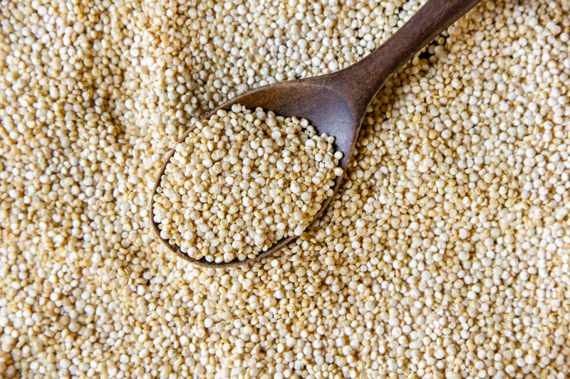 Hydrolysed quinoa protein